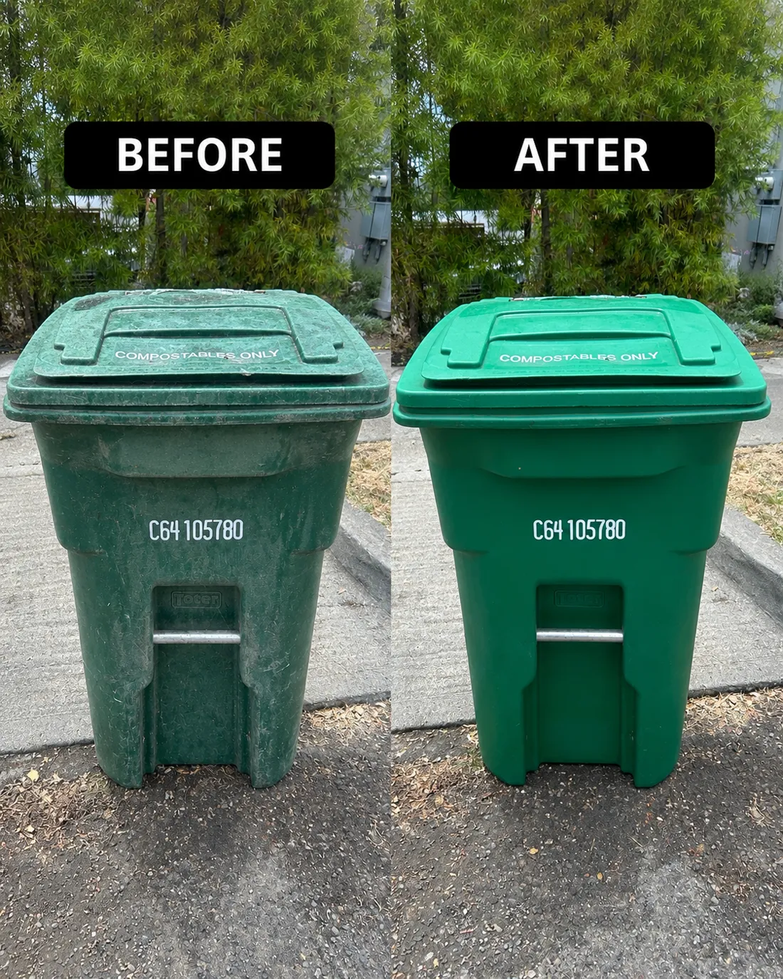 Before and after result of a compost can cleaned by Dash